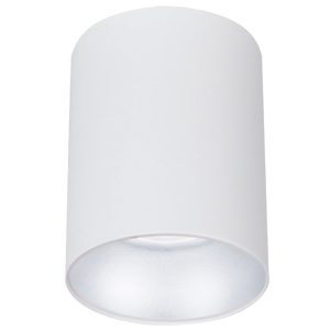 QZAO 20W White Drop Light Tri Colour