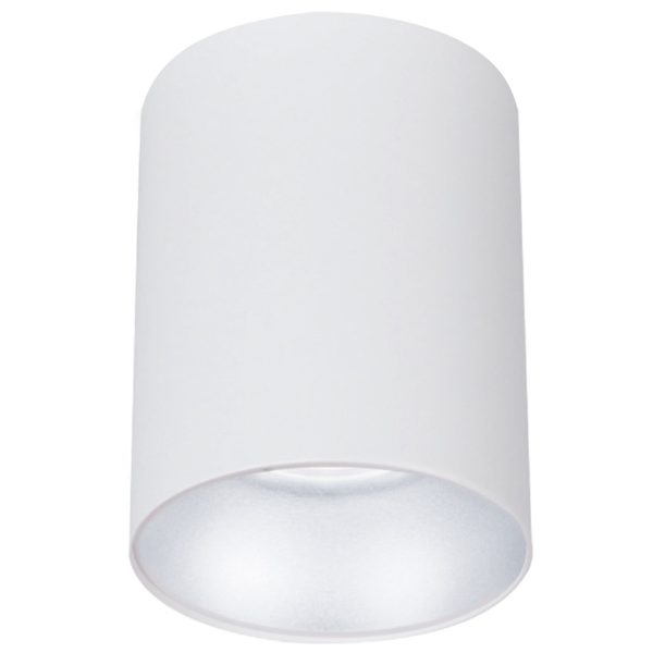 QZAO 20W White Drop Light Tri Colour