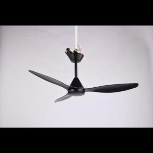 3A D.C Remote 3 Blade fan BLK with no Light